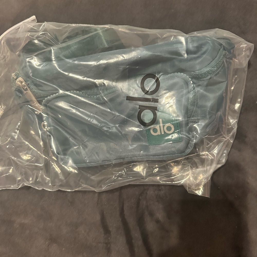 Alo Yoga Explorer Fanny Pack in the color winter Ivy